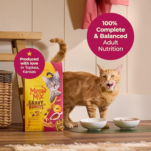 Meow Mix Gravy Bursts Dry Cat Food, 3 lb Bag | Crunchy cat kibble, gravy filled pieces, 100% complete & balanced nutrition