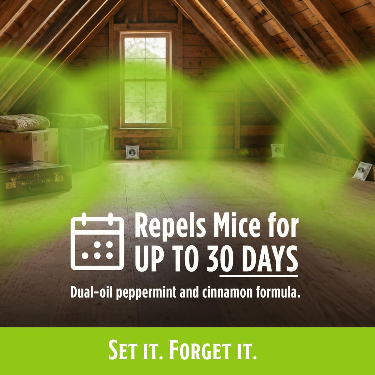 Grandpa Gus's Mouse Repellent Pouches, Peppermint & Cinnamon, Pack of 10 | Plant-Based, Natural Rodent Repellent and Nesting Prevention for Homes/Cabin/Garages/Storage/Vehicles, Kid & Pet Safe