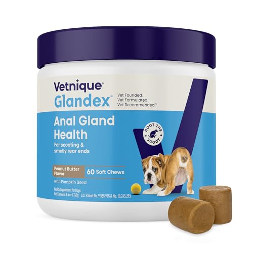 Vetnique Glandex for Dogs Anal Gland Chews 60ct Pumpkin + Digestive Enzymes | Anal Gland Dog Treats, Boot the Scoot + Fishy Odor Support, Fiber, Probiotics, Quercetin + Apple Pectin, Peanut Butter