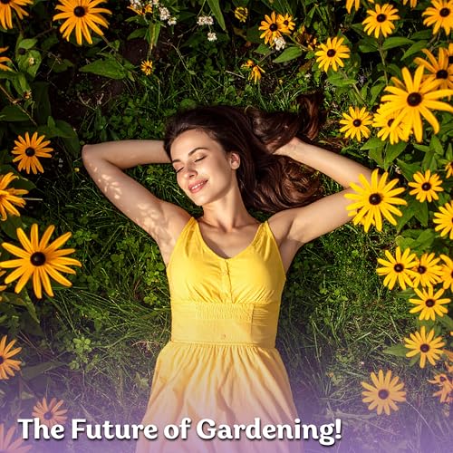 10,000 Black Eyed Susan Heirloom Flower Seeds for Planting, Rudbeckia Hirta | Gloriosa Daisy Wildflower Seeds, Flower Seeds for Planting Outside, Borders, Containers, Attracts Pollinators
