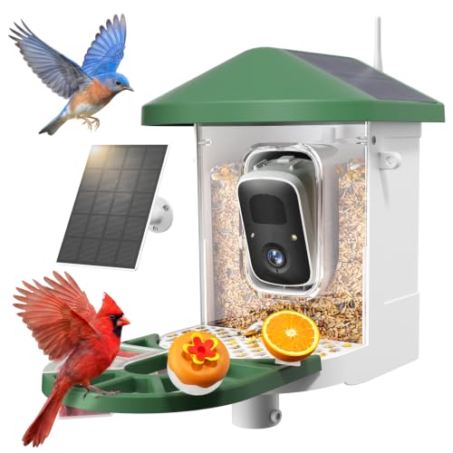 HARYMOR Smart Bird Feeder with Camera Solar Powered, 2K HD Live Video, 10,000+ Bird Species AI Identification, Wild Bird House Feeders for Outdoors, Instant Arrival Alerts, Ideal Gift for Bird Lovers