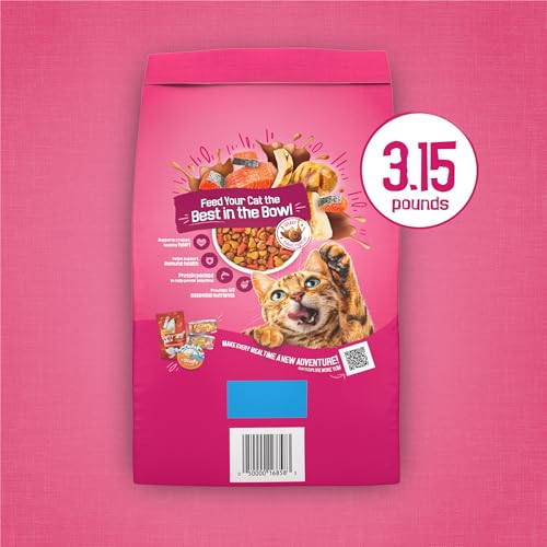 Purina Friskies Gravy Swirlers Dry Cat Food, Chicken & Salmon, 3.15 lb Bag | Protein-packed cat food kibble with swirls of delicious gravy baked in, supports immune and heart health